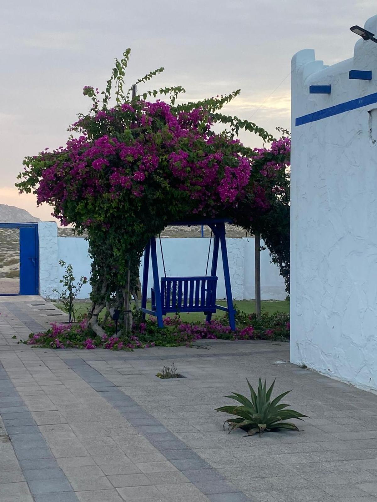Al-Ashkhara Beach Resort منتجع شاطئ الأشخرة Al Sharqiyah Zewnętrze zdjęcie