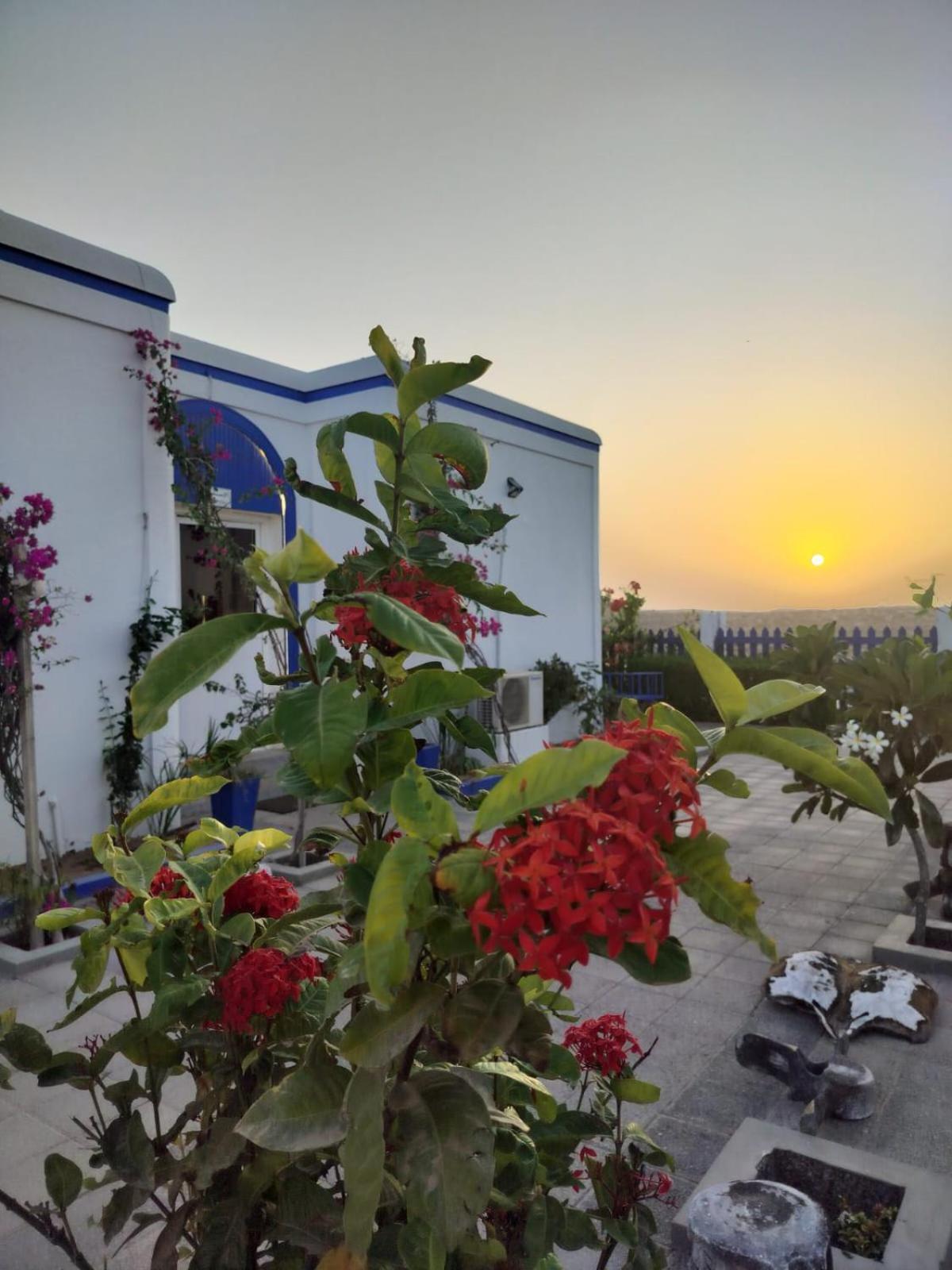 Al-Ashkhara Beach Resort منتجع شاطئ الأشخرة Al Sharqiyah Zewnętrze zdjęcie