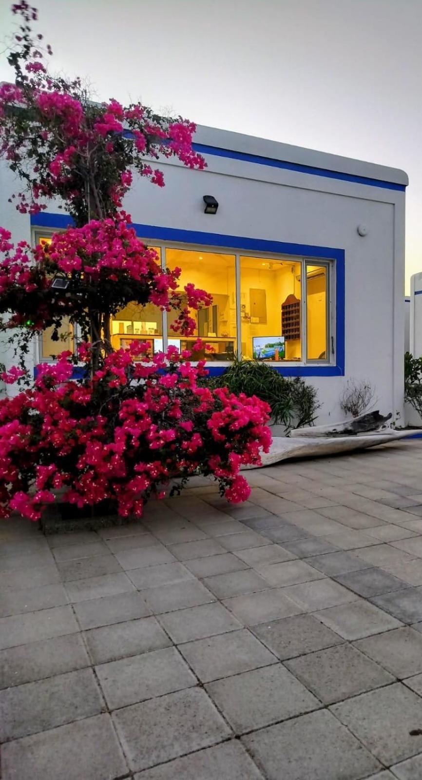 Al-Ashkhara Beach Resort منتجع شاطئ الأشخرة Al Sharqiyah Zewnętrze zdjęcie